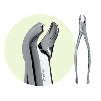 17 Mandibular Forceps