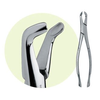 222 Mandibular Forceps